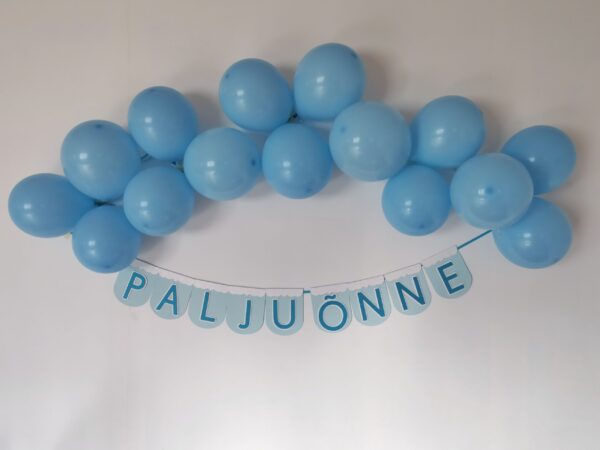 lipukett, poiss, sinine, palju õnne, banner, bänner