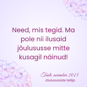 Kodulehe tagasiside_20241007_150627_0047